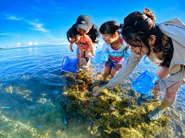 恩納村 子連れ 磯遊び 海デビュー 子供